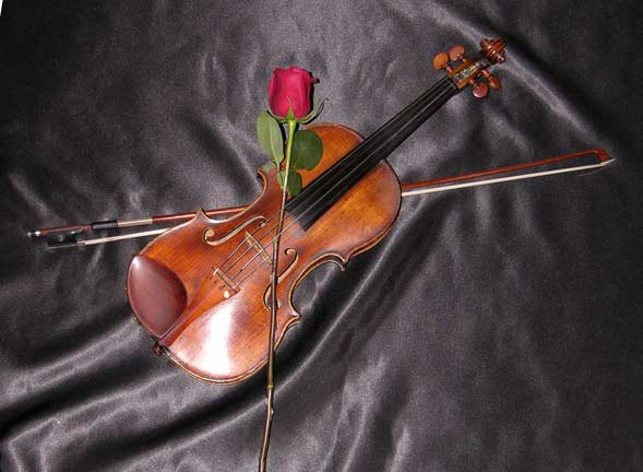 violin-rose-bow-orig