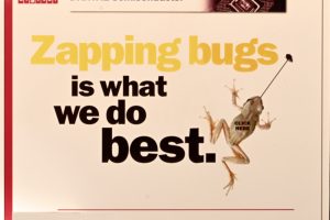 zap bugs do best